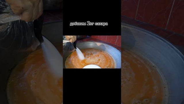 Цирковые Представления и Шоу