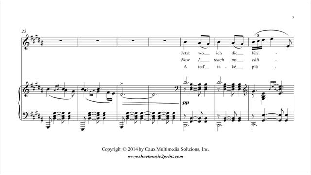 Dvorak : Als die alte Mutter, Op. 55, No. 4 - Mezzo-Soprano or Baritone смотреть онлайн