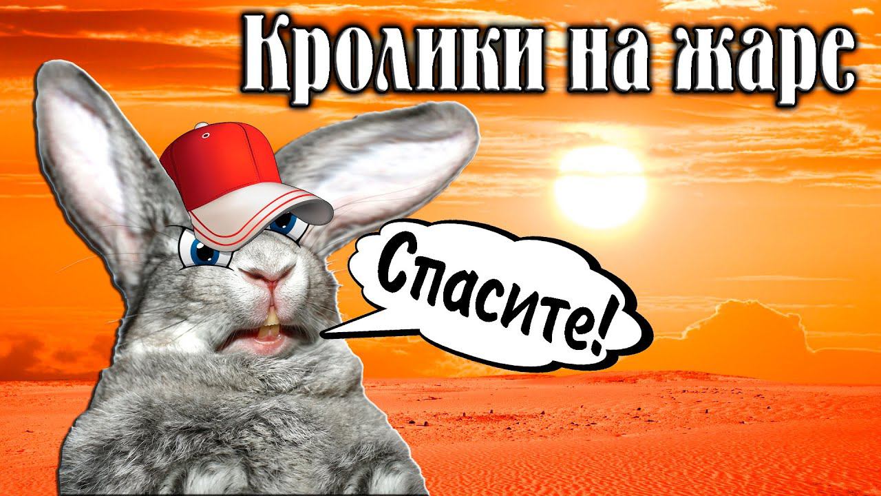Кролики на жаре смотреть онлайн