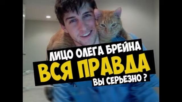 брейн дит лицо смотреть онлайн