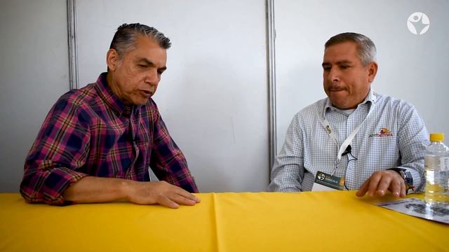 Las Berries Son Sinónimo De Nutrición