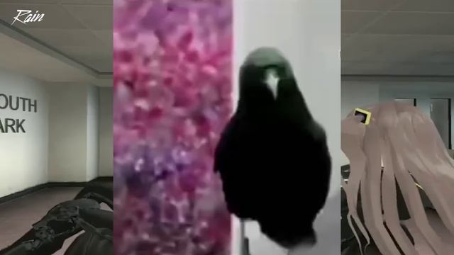 Секретный обзор на аниме сезон смотреть онлайн