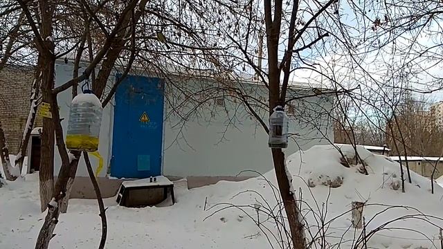 Птицы у кормушки смотреть онлайн