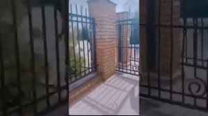 Стрельба в гимназии 175 Казань. 2.