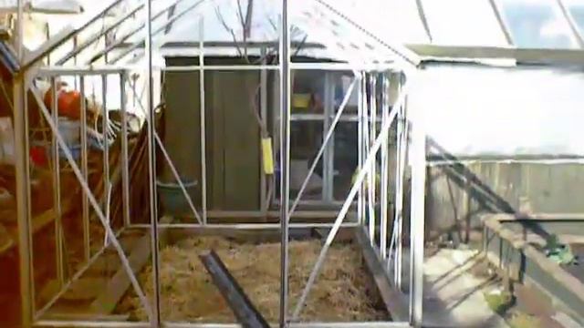 CHILLIES TO SOW,and a few annuals to sow now feb 2020 смотреть онлайн