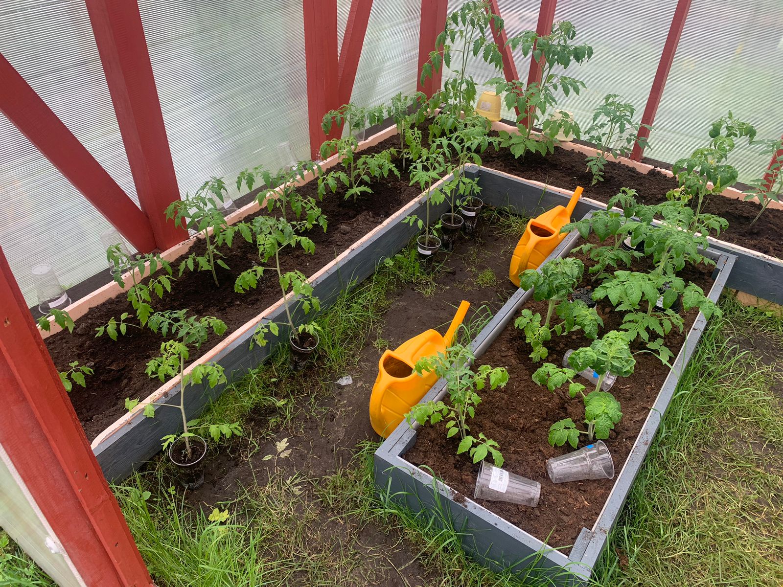 Весна, дача, работы на участке (дачная жизнь-2)