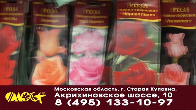 В садовых центрах 'Флос' грандиозная распродажа со скидкой до 50% смотреть онлайн