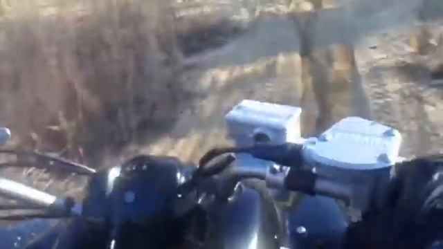 Allie's Raptor 350 смотреть онлайн