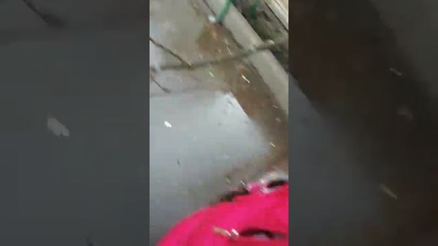 Сломанная береза смотреть онлайн