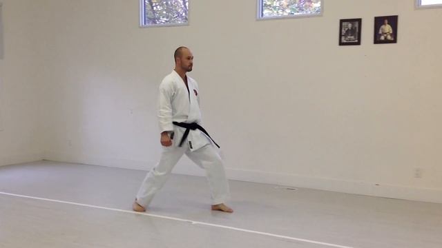 Mae Geri Chudan | IKD Testing Syllabus videos | Shotokan Karate 2013 смотреть онлайн