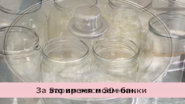 Засолка рыбы и икры в домашних условиях