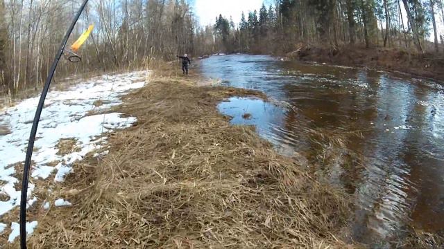 Весенние зарисовки ловли лосося))) смотреть онлайн