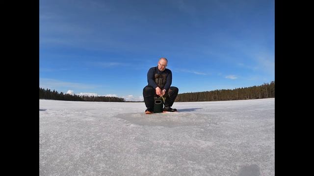 Шикарная рыбалка на лесном озере. смотреть онлайн