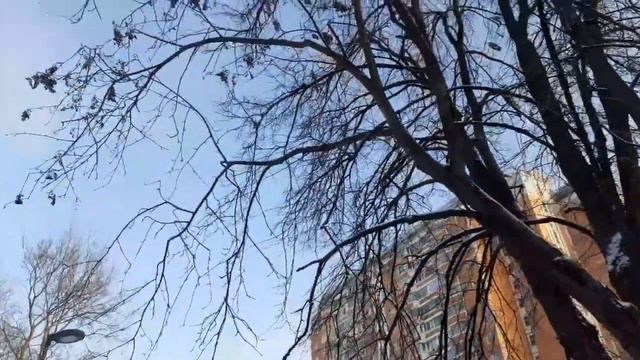 На святки смотреть онлайн