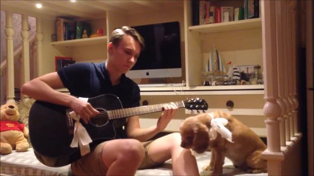 Gorgeous Guitar Story #2: Waltz with the Dog смотреть онлайн