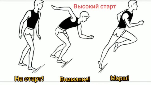 Урок физкультуры. Техника спринтерского бега смотреть онлайн