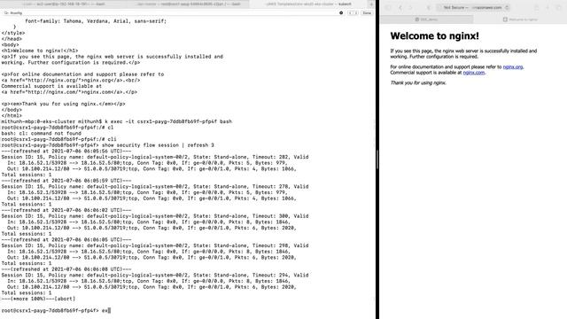 cSRX North-South Protection with Nginx Ingress Controller in AWS EKS смотреть онлайн