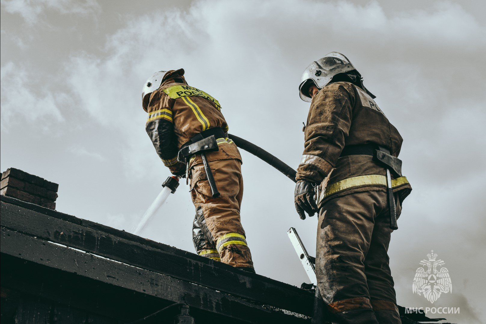 Место, где становятся профессионалами смотреть онлайн