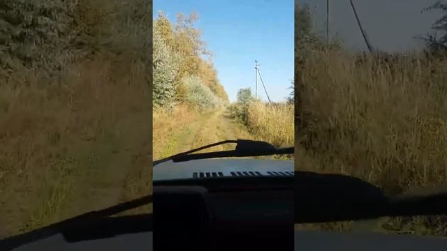 Дорога из выселок в санчелеево смотреть онлайн