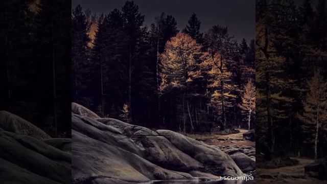 Спокойной ночи! смотреть онлайн