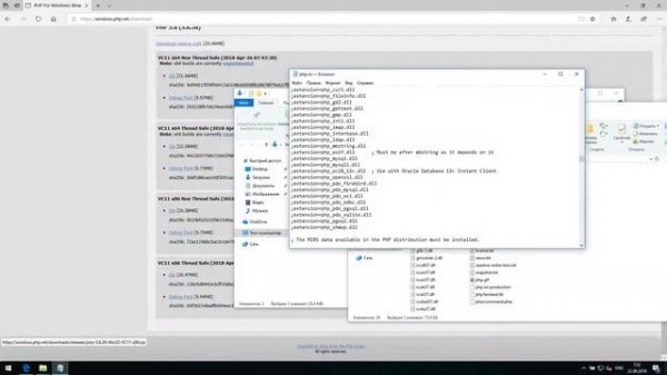 Cloud MailRu Downloader