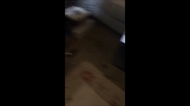 It's Groovy #1 (My Snapchat Stories) смотреть онлайн