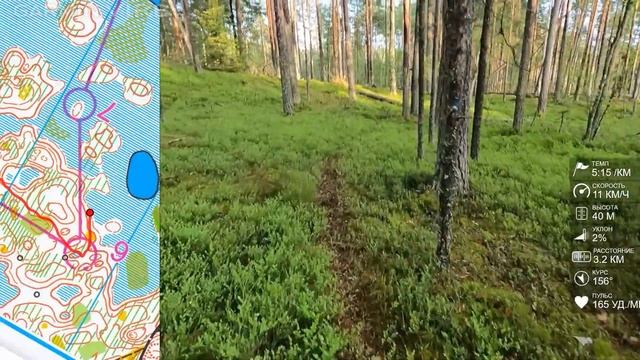 Спортивное ориентирование (headcam orienteering) - Белые Ночи 2023, Сосново, средняя - 30.06.23 смотреть онлайн