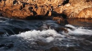 Потрясающе Романтичная Музыка. Очень КРАСИВОЕ ВИДЕО