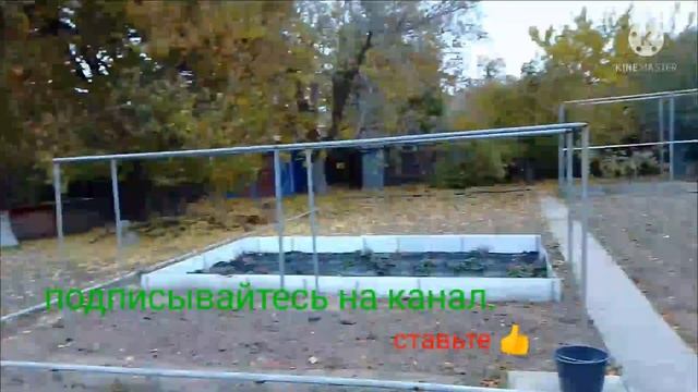 Дача - снова собираю орехи и гребу ?. Купила полочки. #влог #дача #орехи #листья_ореха смотреть онлайн