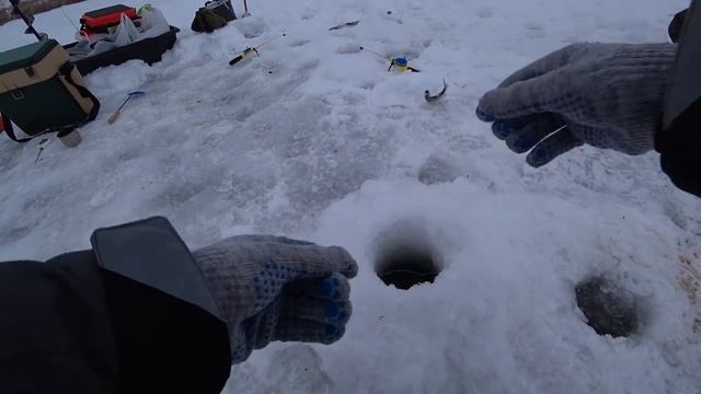 ПОСТАВИЛ ЭТУ БЕЗМОТЫЛКУ И ПОПЁРЛО! Ловля плотвы зимой на реке 2021. смотреть онлайн