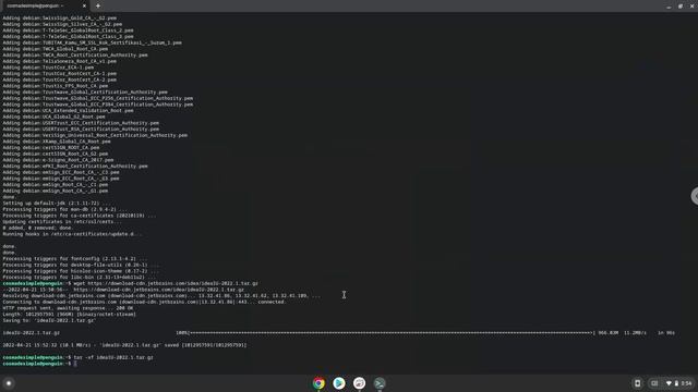 How to install Intellij Idea 2022 Ultimate on a Chromebook смотреть онлайн