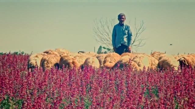 Travel To Armenia - Sights, History, Armenian Holidays