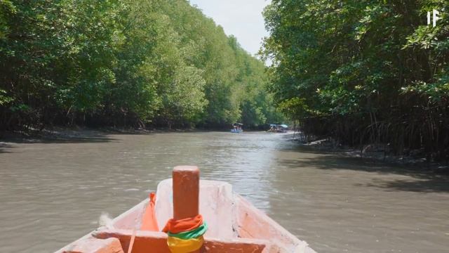 What If Megalodon Fought Titanoboa? смотреть онлайн
