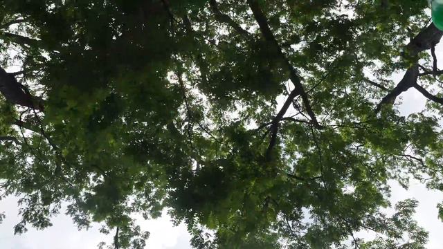 20170618 Juggling As Seen From Below смотреть онлайн