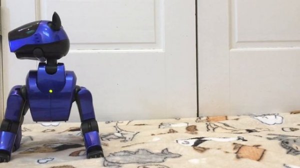 Aibo Life 1 Developer Demo Software