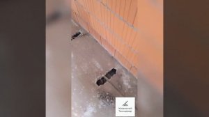 Что дает анкеровка плит перекрытий