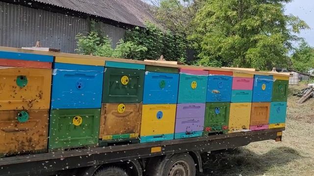 Выехали на акацию смотреть онлайн