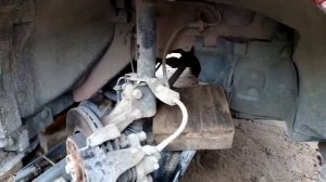 шаровые опоры lada xrey 40тыс. км. замена без снятия рычага