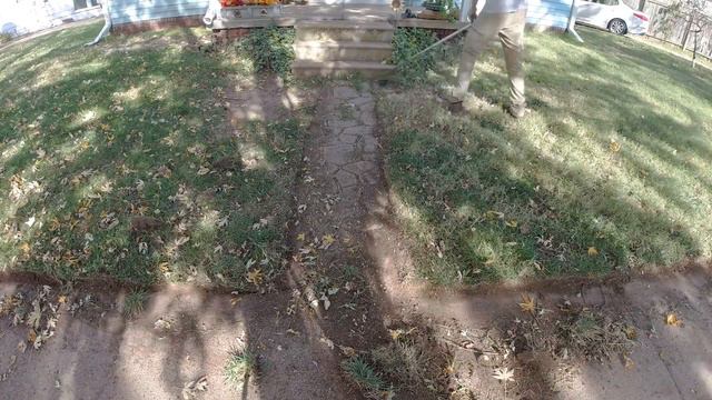 СЛУЧАЙНЫЙ Домовладелец ошеломлен после БЕСПЛАТНОЙ стрижки зарослей и окантовки смотреть онлайн