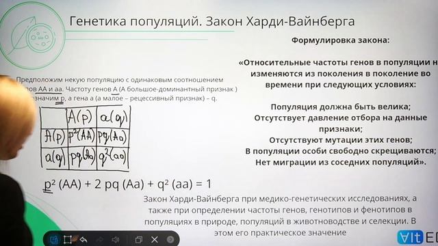 ГЕНЕТИКА ПОПУЛЯЦИЙ | Закон Харди-Вайнберга | Подготовка к ЕГЭ 2022 по БИОЛОГИИ смотреть онлайн