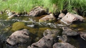 Звуки Ручья, Шум Ручья, Расслабляющие Звуки Природы Для Сна, Медитации и Борьбы со Стрессом.