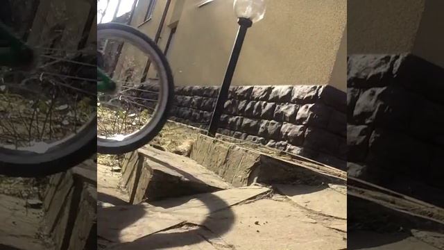 Самые лёгкие трюки на BMX смотреть онлайн