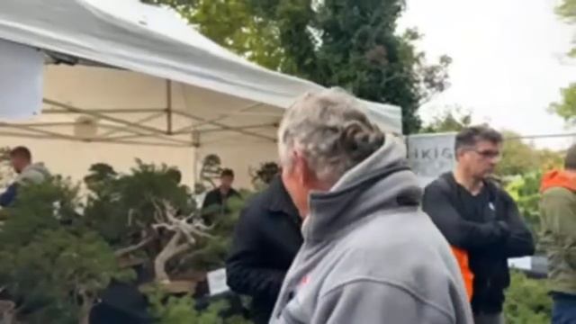 BONSAÏ CULTURE EXPO 2023 LIVE DEMO - C'est parti ! ? NEJIKAN BONSAI ? смотреть онлайн