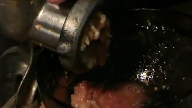 Вегетарианские Рестораны