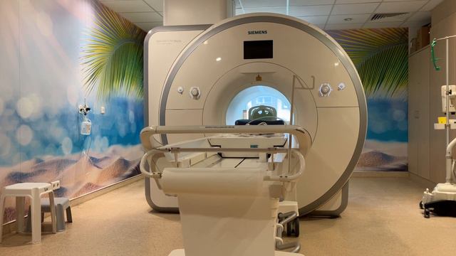 🧲 3T Skyra Siemens MRI Magnet / MRT Sounds Brain Scan смотреть онлайн