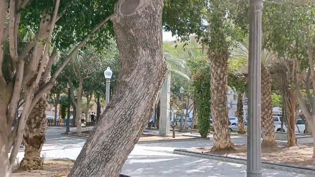 Рынок Аликанте, пляжи Альбуферете и город Эльче. 5 часть. смотреть онлайн