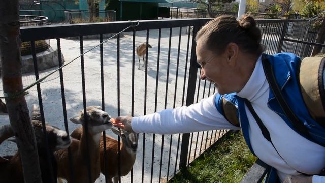 Вот в чем секрет Тайгана! смотреть онлайн