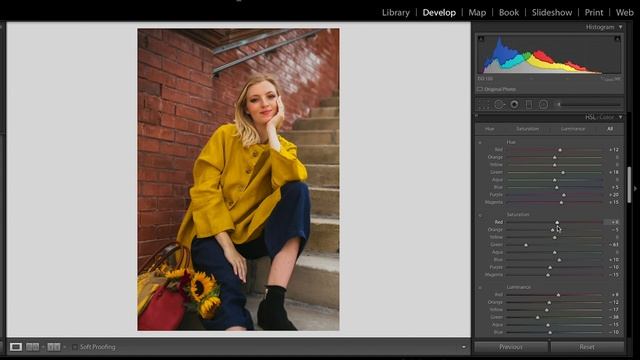 Beginner LIGHTROOM Walkthrough - Import, Edit & Export смотреть онлайн