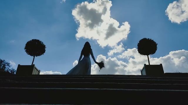 Съемка свадьбы на телефон за один день смотреть онлайн