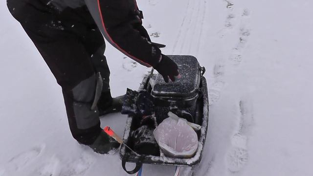 Новогодняя рыбалка. 04.01.2023. смотреть онлайн